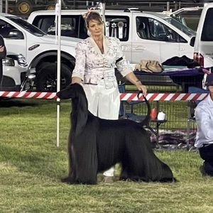 Meet your Posher, Karen